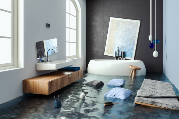 Best Basement water damage restoration  in Onarga, IL