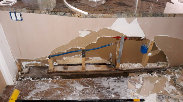 Best Flood restoration services  in Onarga, IL
