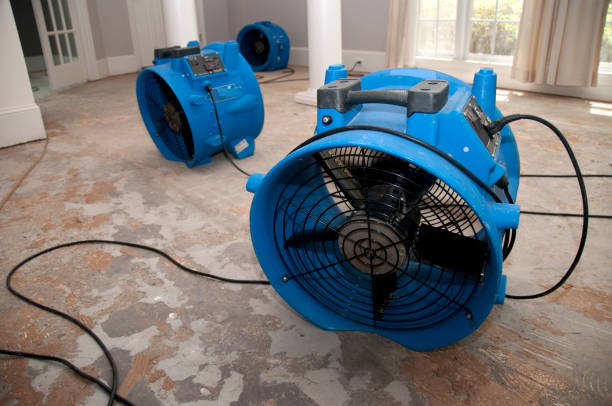 Best Residential water damage restoration  in Onarga, IL